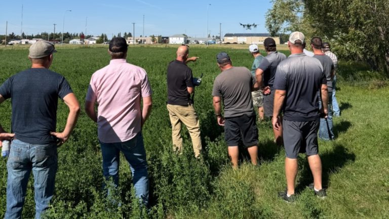 Growers attending the Ag Drones field demonstration near Westlock