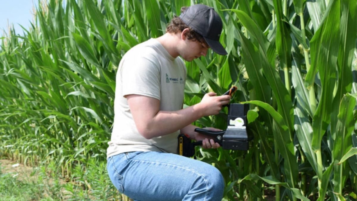 Leaftech_Scanner_Corn_Field
